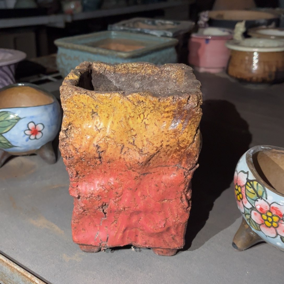 芷*芷荇多肉花盆