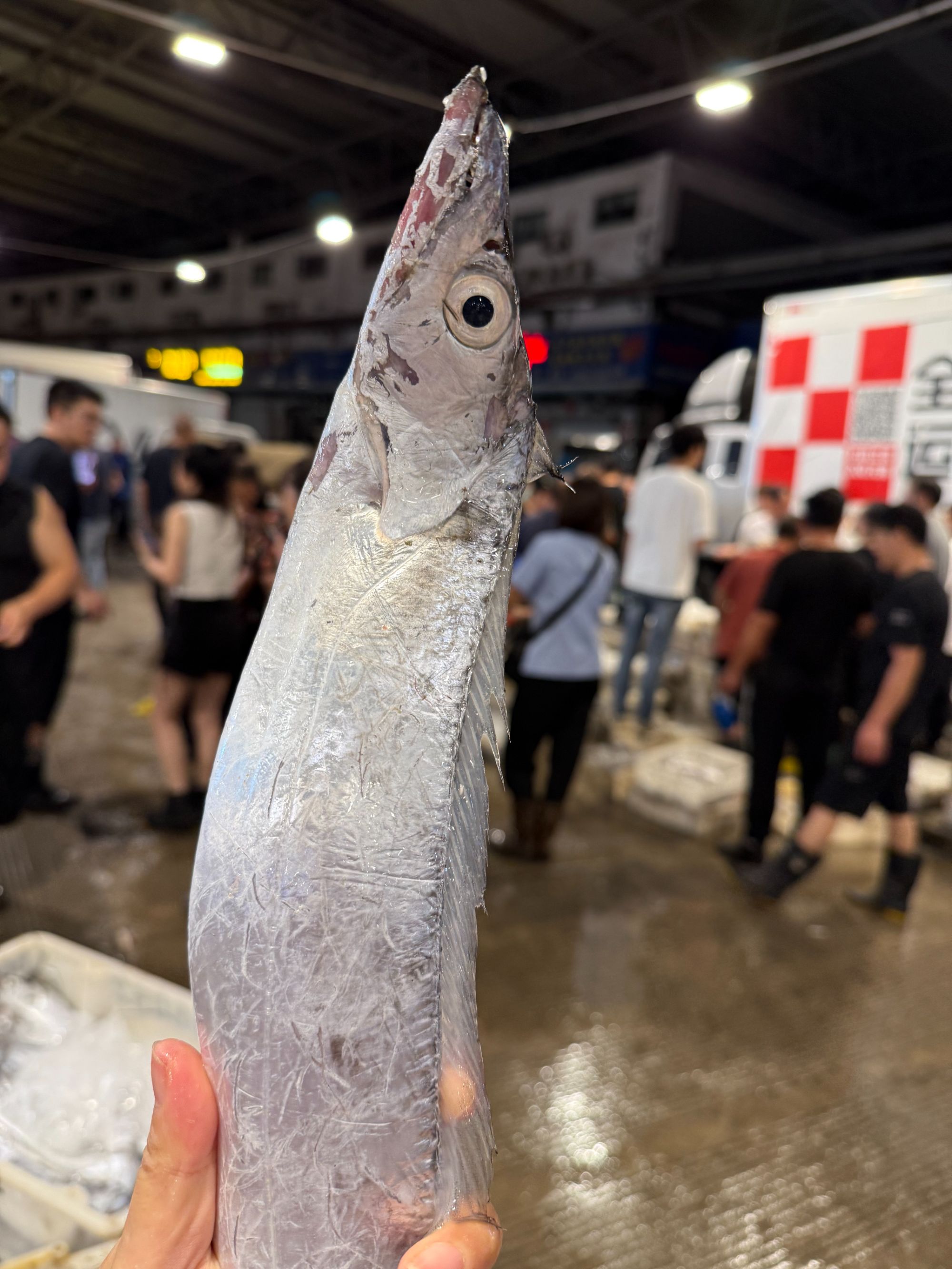 东海本港大带鱼4斤野生海捕东海本港雷达网油带鱼顺丰包邮