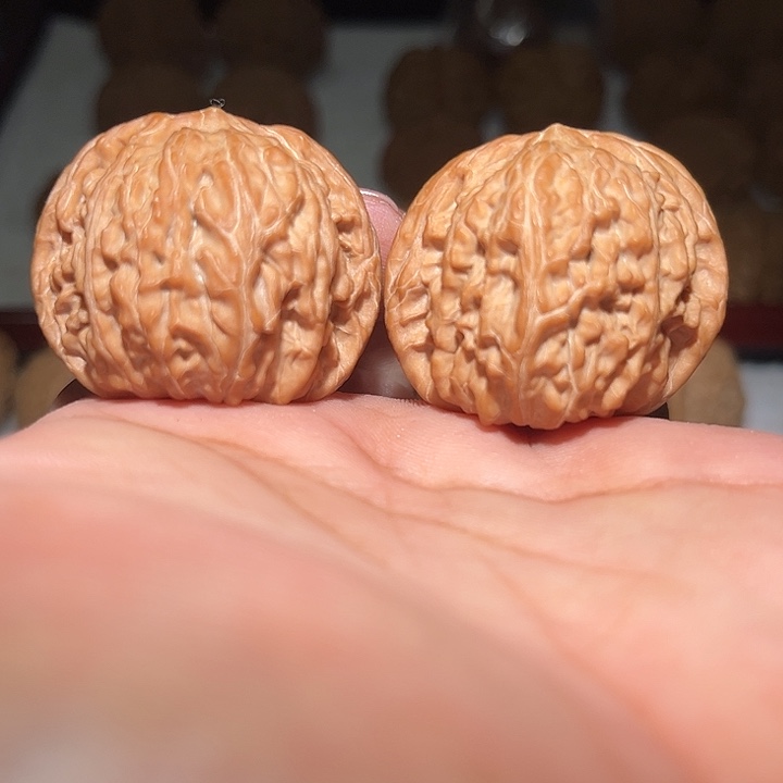 木39山地磨盘。      