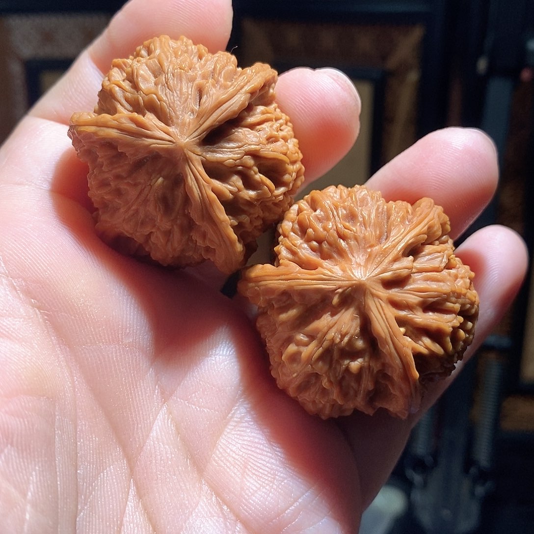 文玩核桃把件40白奔