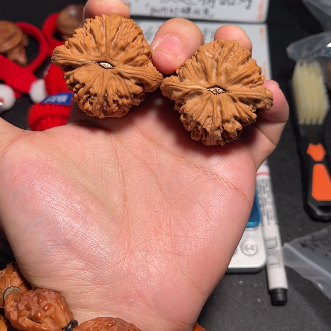 用***545红皮赵喜满南疆有小返油