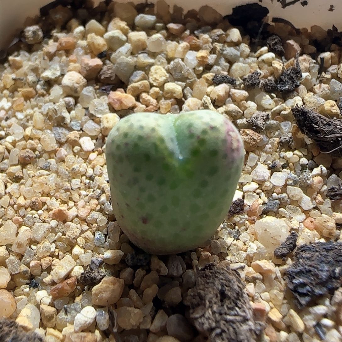 哈哈哈哈哈哈哈57436