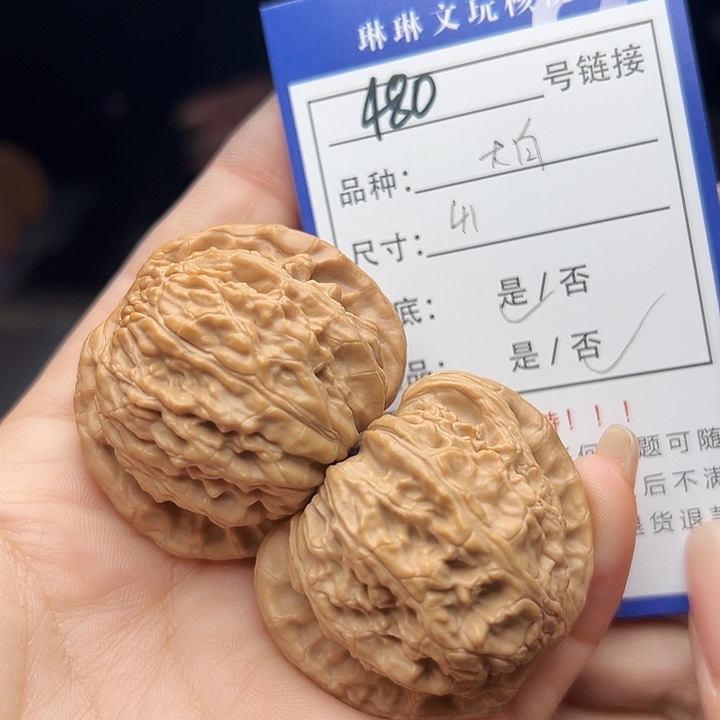 文玩核桃吊坠核桃树480