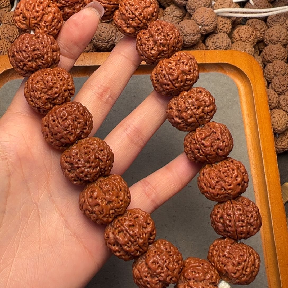 菩提20号金刚菩提满肉梅花手持23+