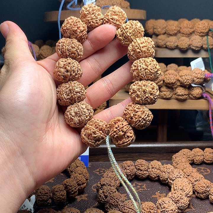 金刚菩提手串古龙24七瓣全品