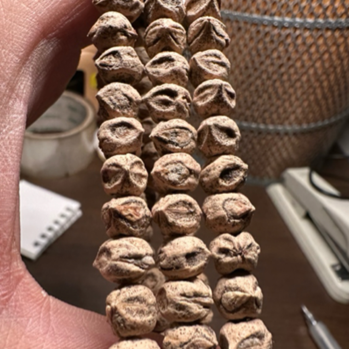 疯巢[CRAZYNEST]热振百香籽原桩横打精工6.5mm文玩108颗