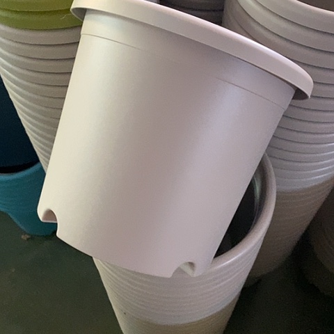 树脂四季4号微瑕灰白无托8个