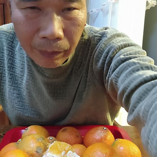 爱媛28小果好吃好吃好吃好吃