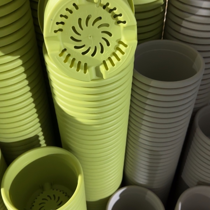 四季2号20个果绿色的花盆