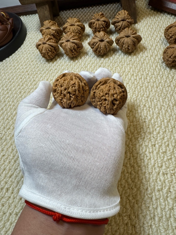 四座楼 全品 边42肚42