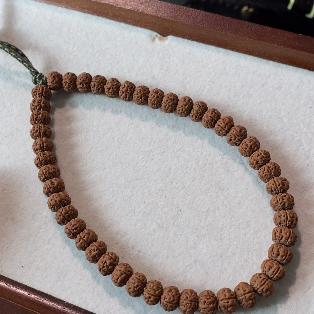 吊坠金刚菩提漏一条全品老树王8.3-8.4