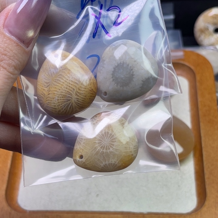 未镶嵌吊坠硅化珊瑚（珊瑚玉）