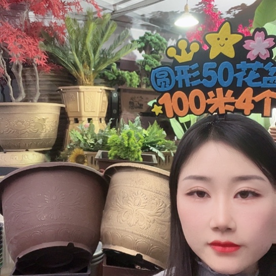 复合凤纹50花盆4个