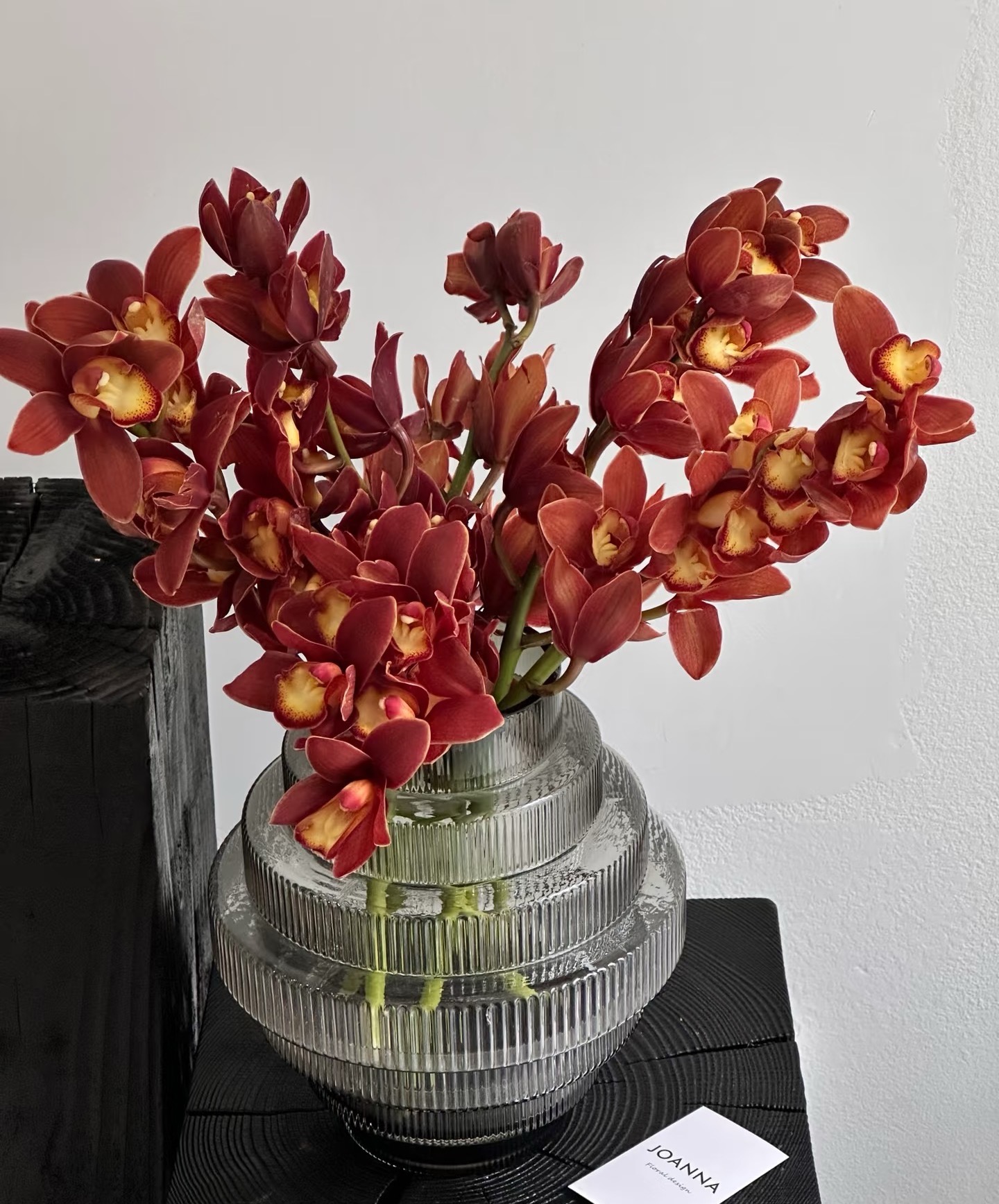 【AAA大花蕙兰】高级定制级~重新定义空间的雅致符号~