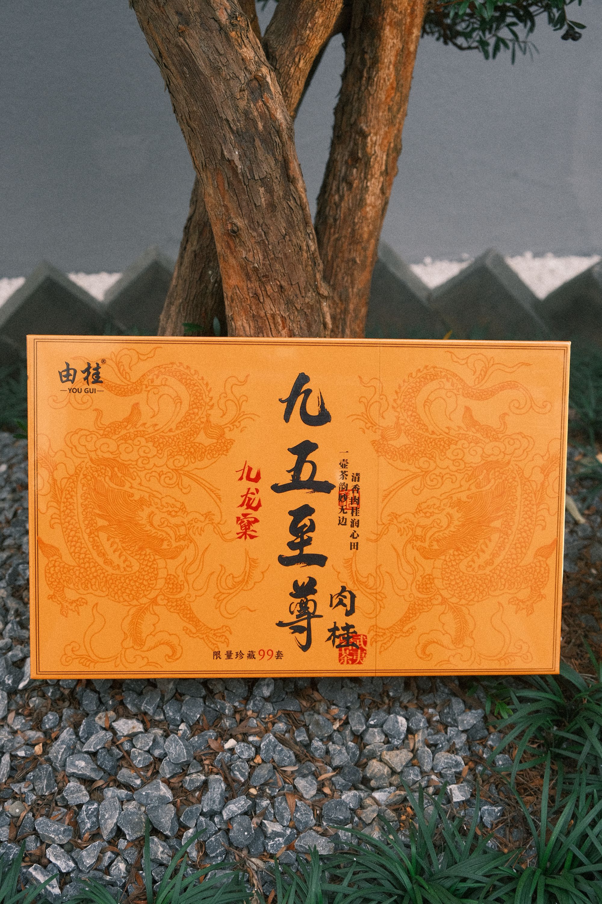 黑马茶仓【由桂】九五至尊-九龙窠肉桂