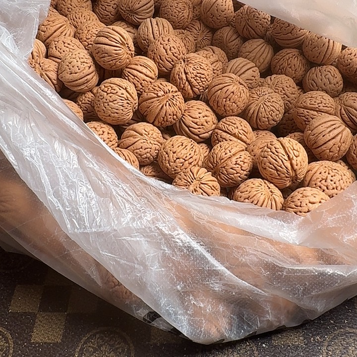 河***李吊坠桃核66666666666