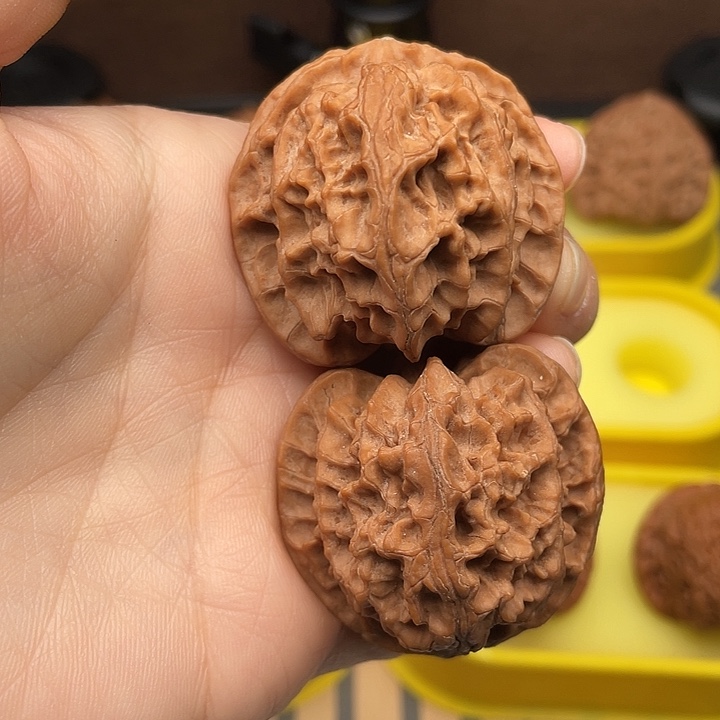 苹果园40全品红皮