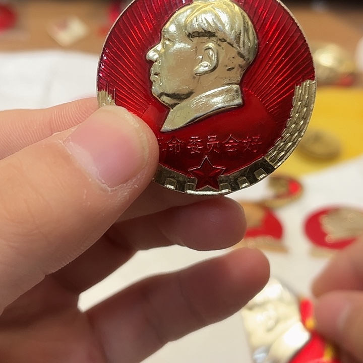 星***空像章一一一一一高贵轻