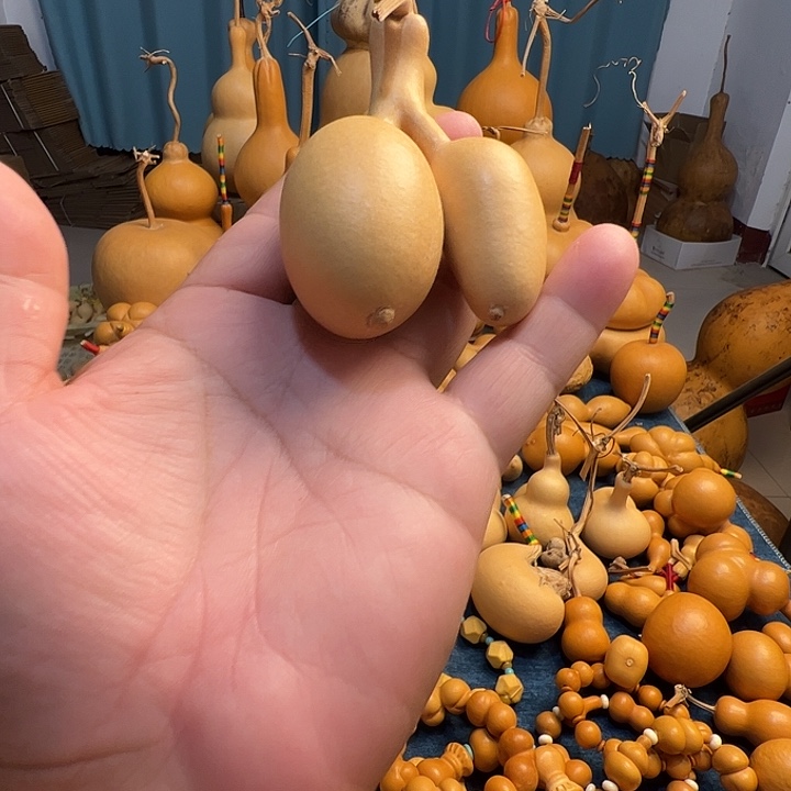 风***下蚂蚁双胞胎葫芦微瑕