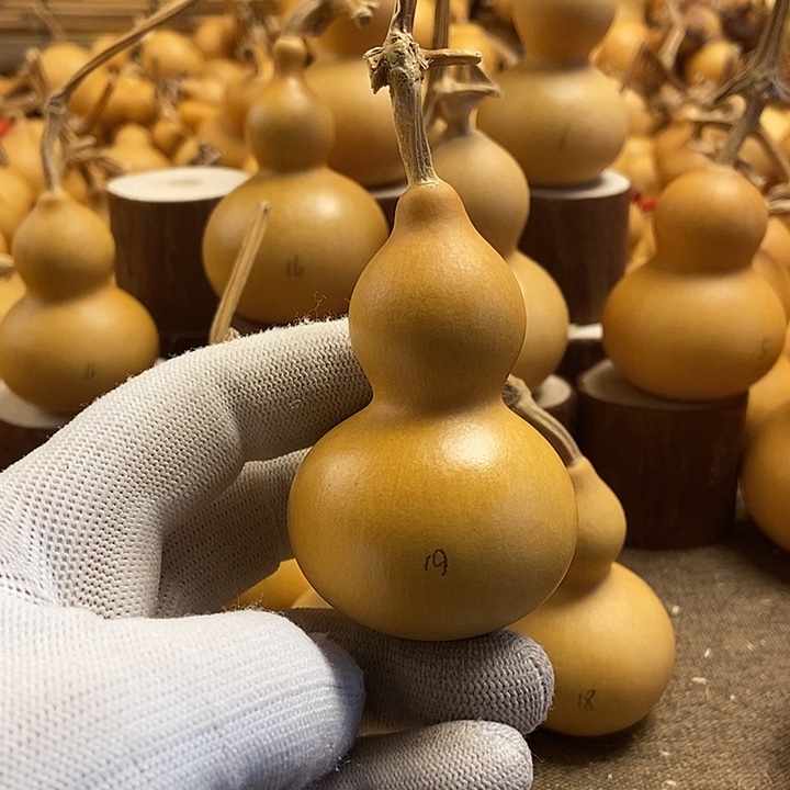 文玩葫芦 完美主义者 慎拍19