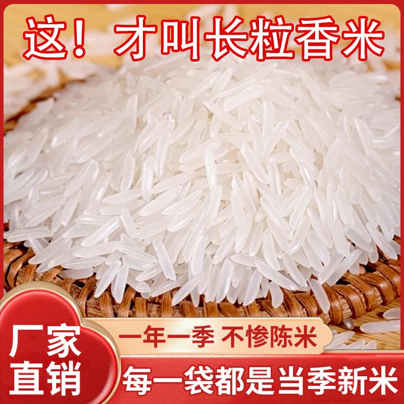 【买五斤送五斤到手十斤】优质长粒香米丝苗米猫牙米现磨现发大米