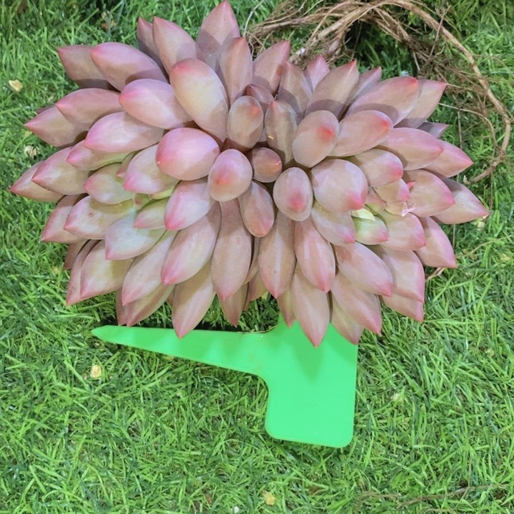 这个点吃晚饭真的有点