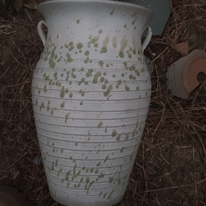 红陶口19高32清仓价