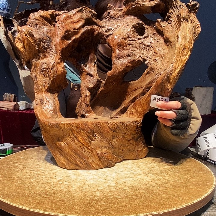 虎**子881株木的随行根艺的