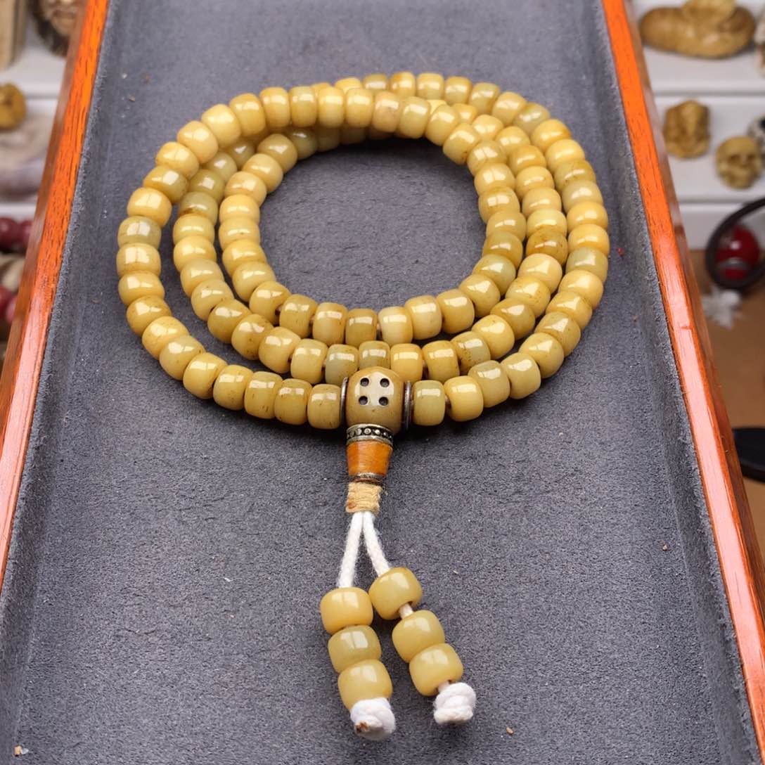 驼骨其他天天都在盘  8