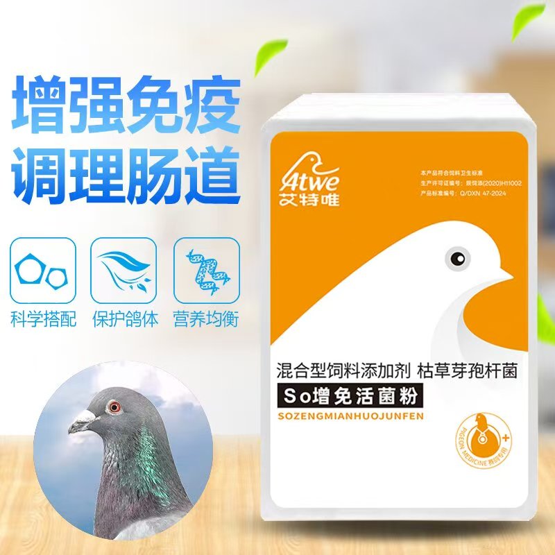 艾特唯【so增免活菌】增强鸽子自身免疫力、提高鸽蛋品质