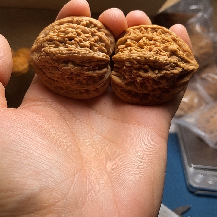 吊坠文玩核桃42蓟县虎头王