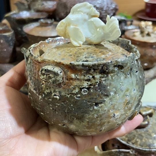 杯宝瓶柴烧裸烧手作品