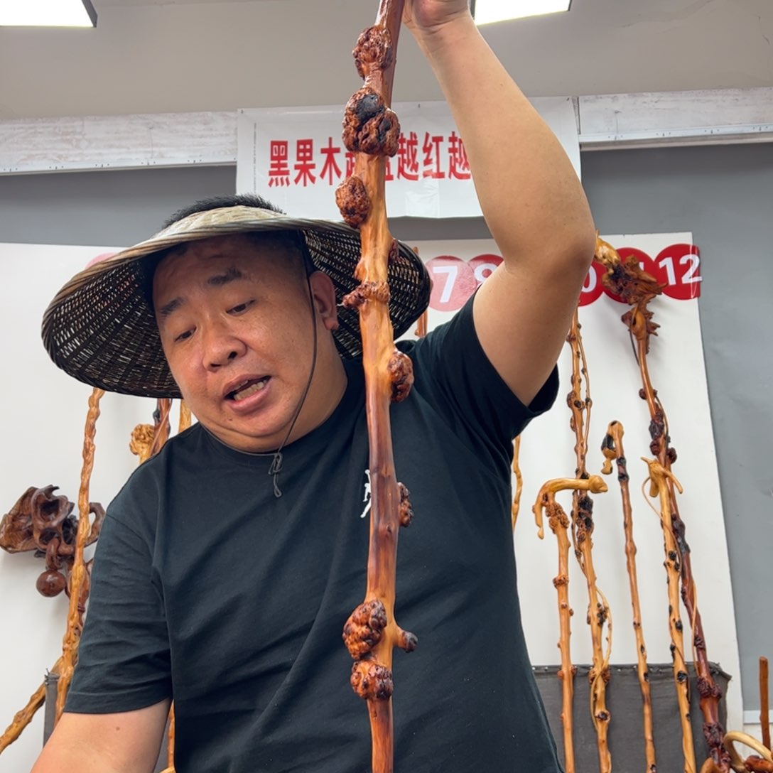 黑果木其他傻*黑果木442