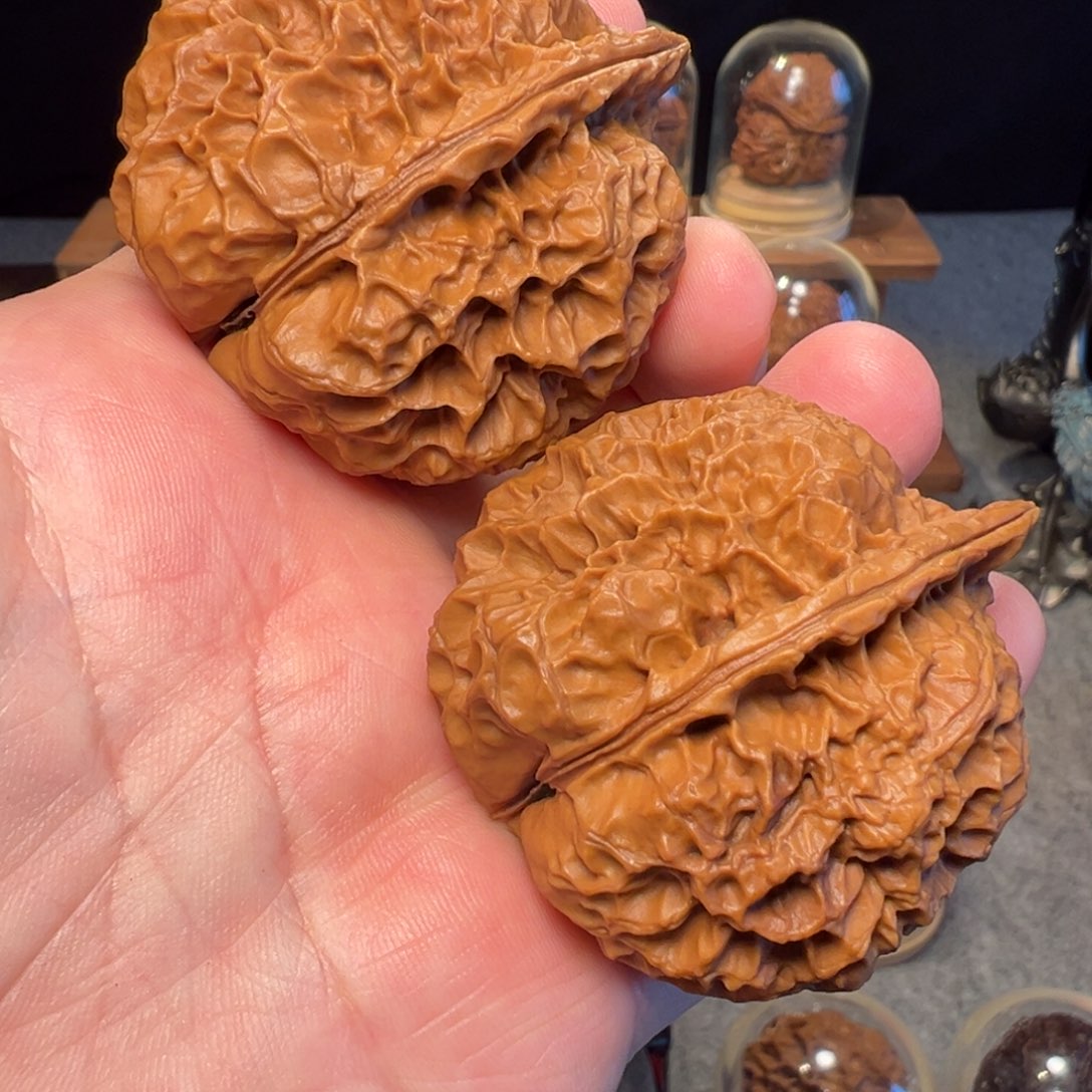 文玩核桃把件苍龙古蟾50.5mm