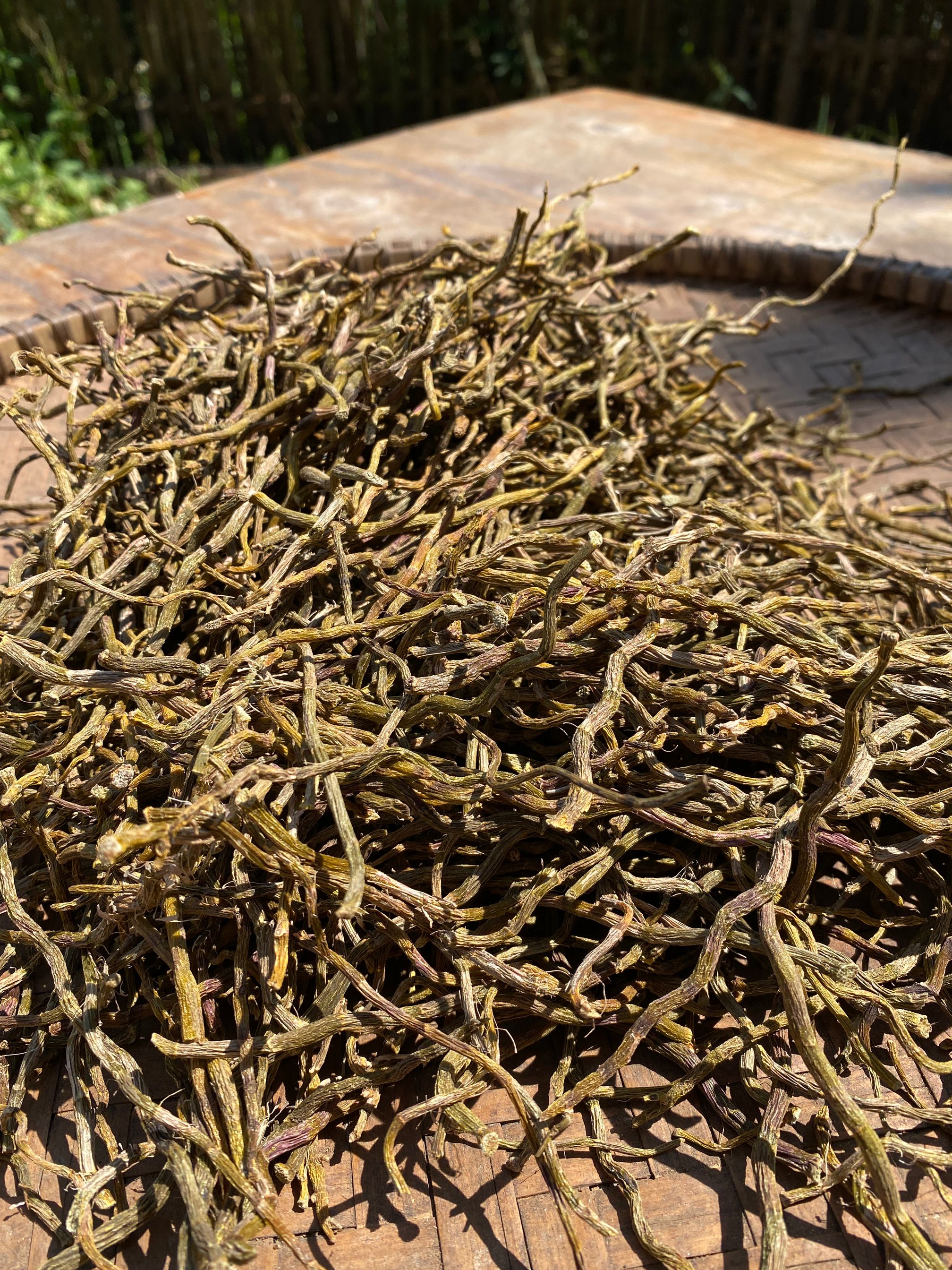 广西大山里正宗林下种植铁皮石斛100g/250g/500g