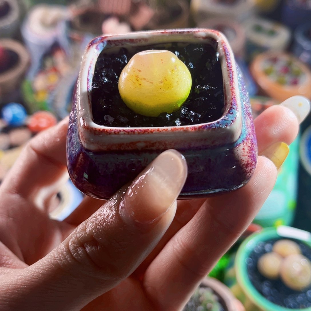 2cm派大星拉登128号