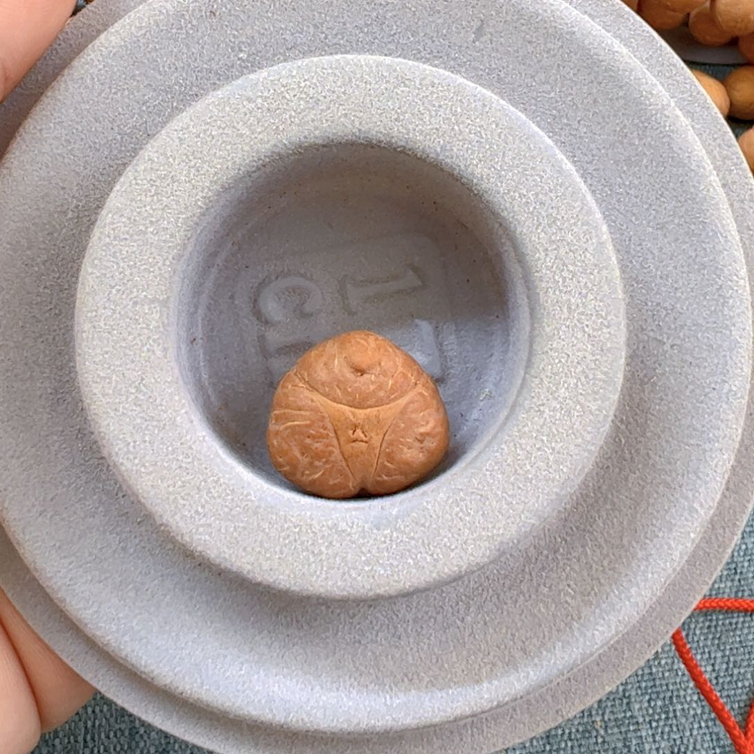 凤眼菩提手串幺***哥18mm龙眼单颗0@120