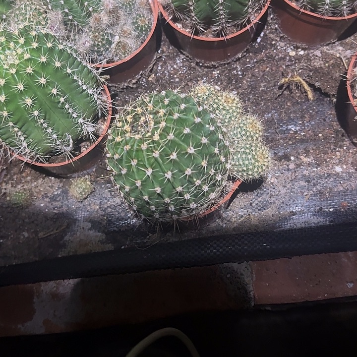 云***集无花朵彩草哈哈哈哈哈哈哈哈