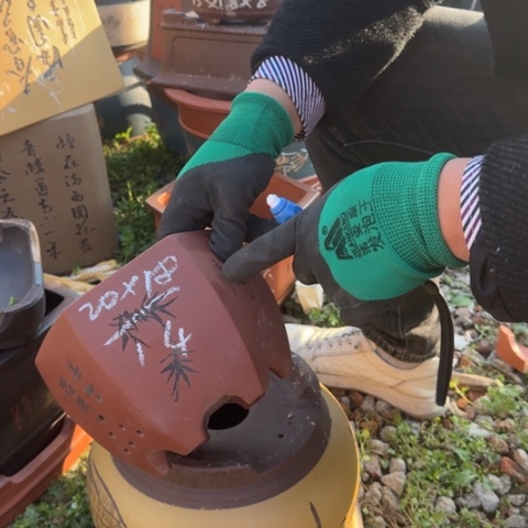 红陶紫砂花盆盆景盆栽