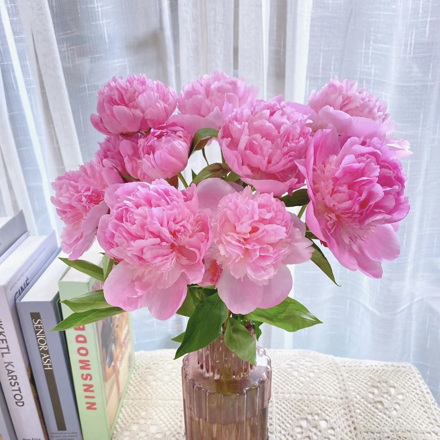 【十二花时】蓝梦重瓣粉色芍药鲜切花 任意两单升级冷链