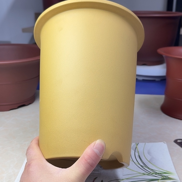 春秋花盆精品兰盆