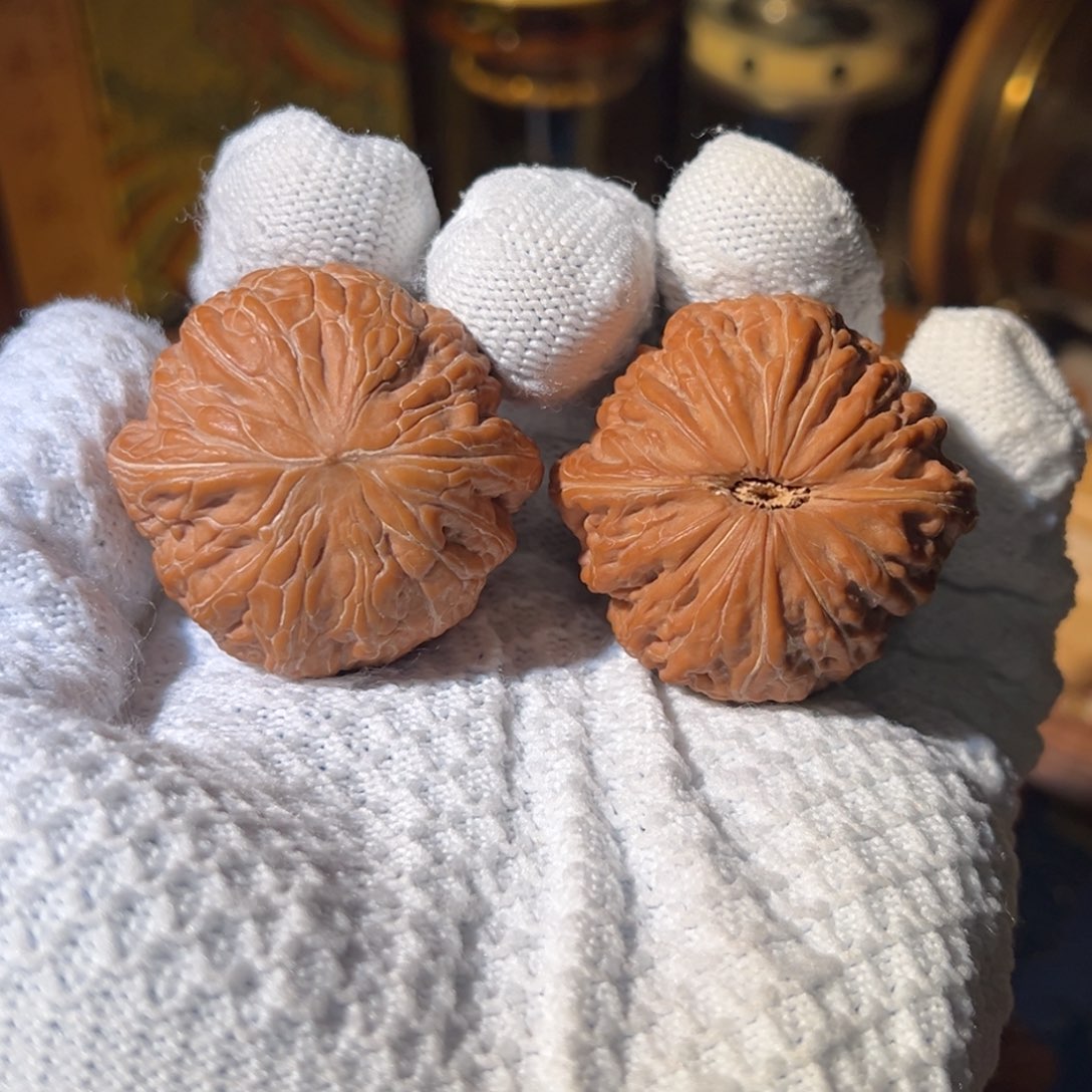 把件文玩核桃全品铁锤妹妹41