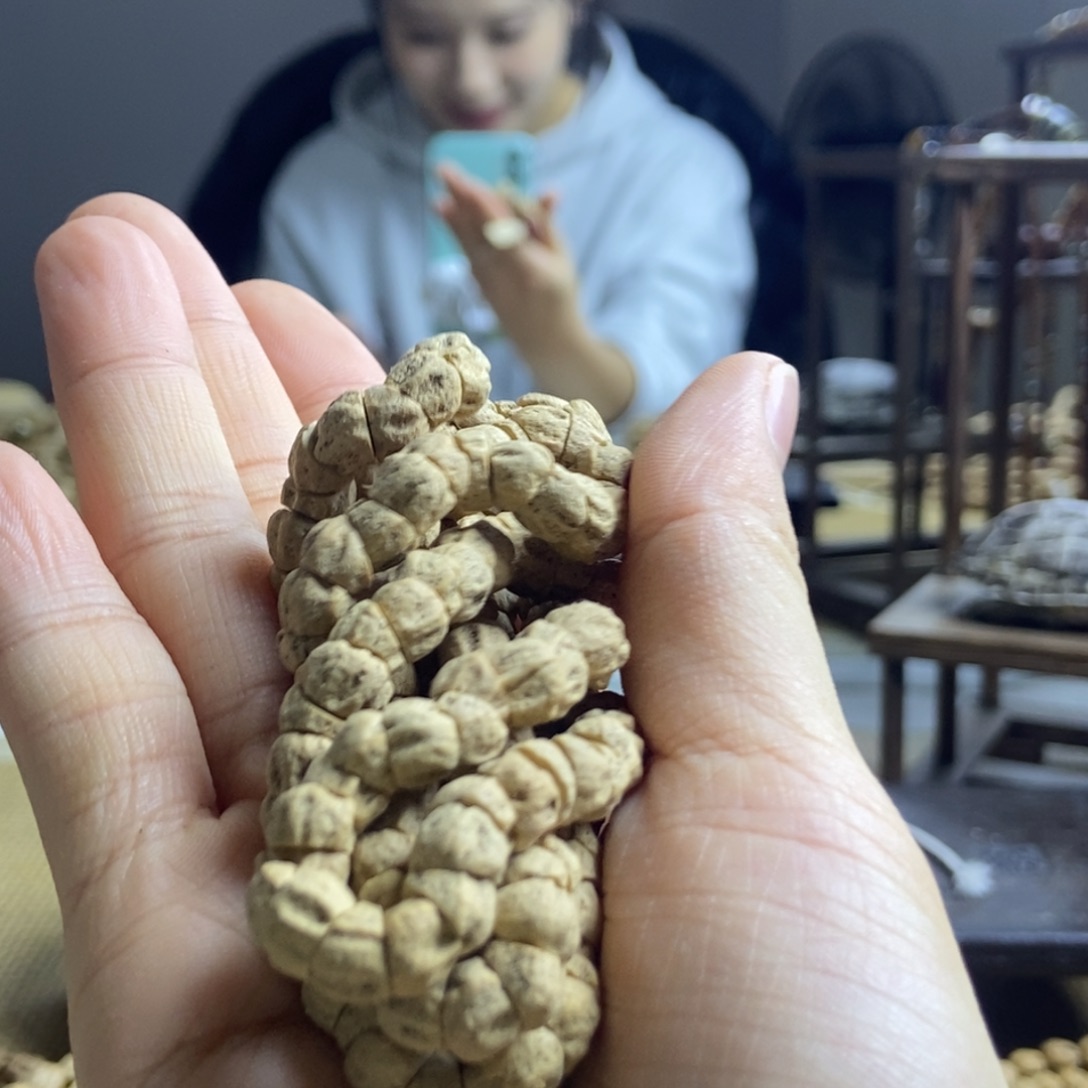 三***集手串柏香籽/百香籽