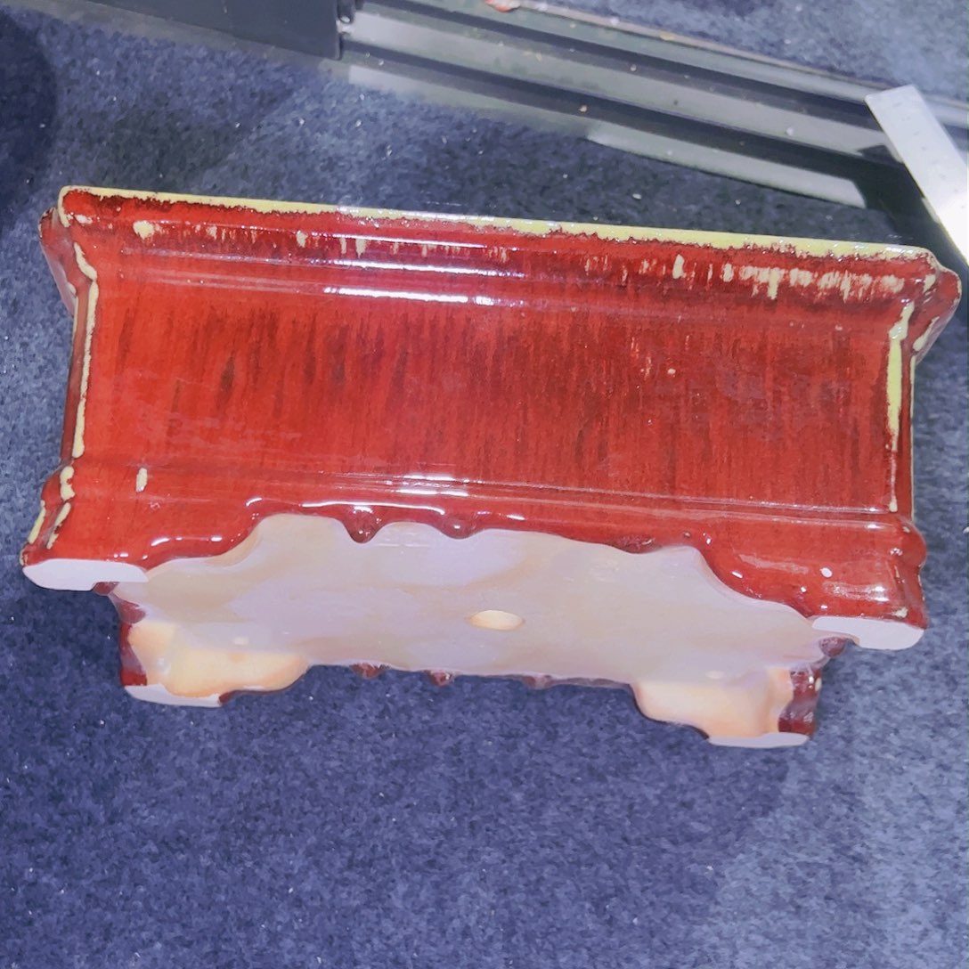 红陶今天仓播一件不留！！!