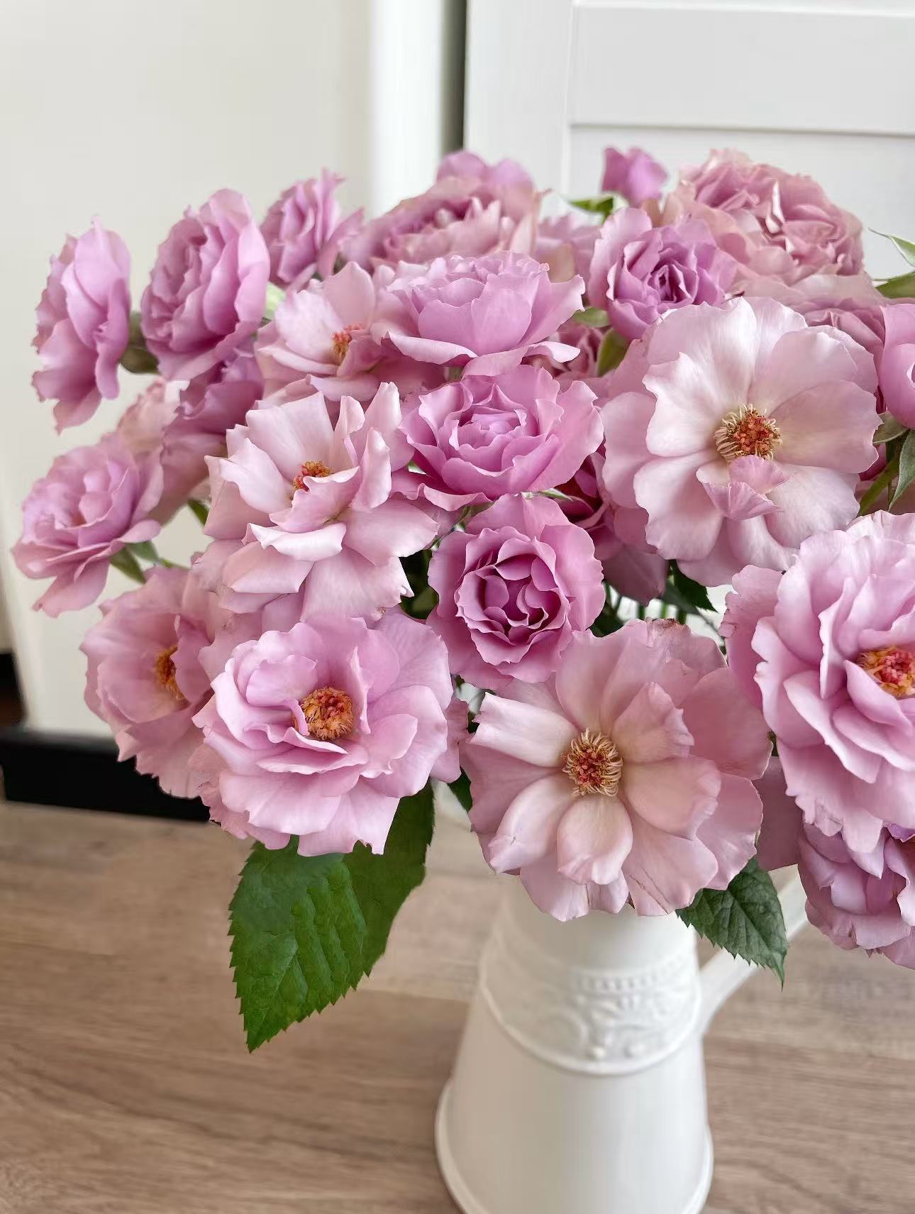 【陌上花开】单头流仙裙-稀有单头玫瑰（注意：带包装醒花哦~）