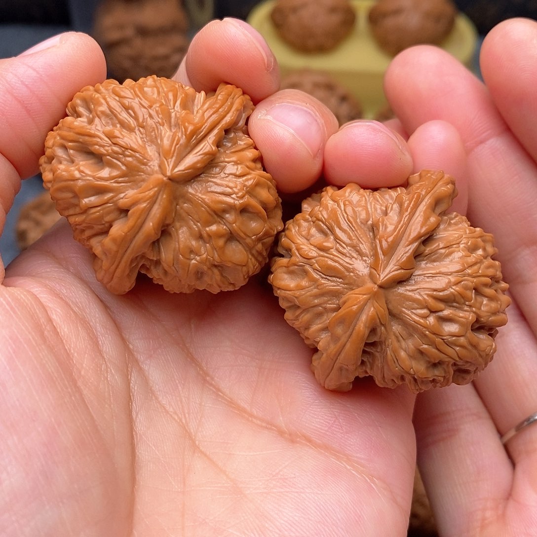 文玩核桃把件鲲****里老树白狮子39全品