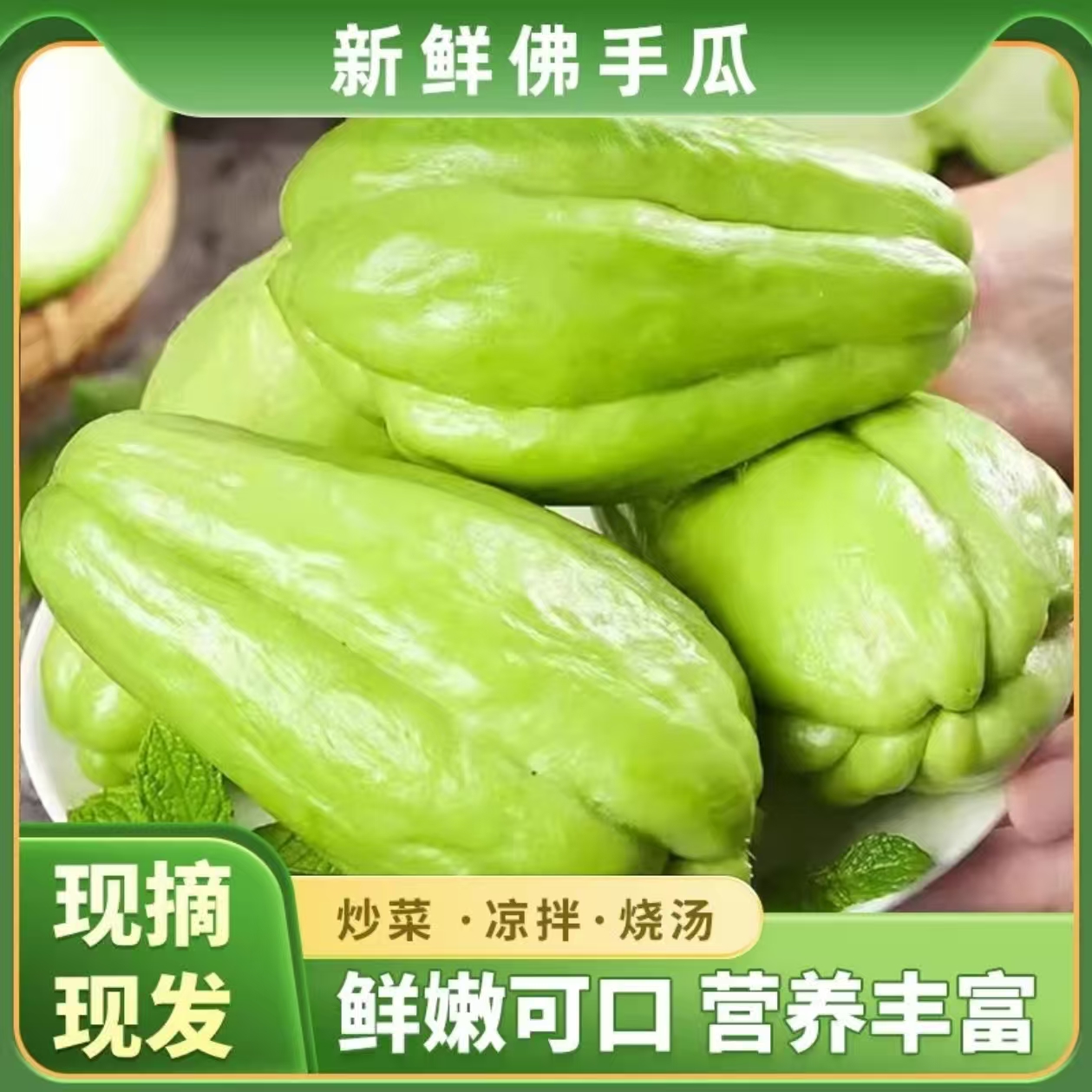 贵州高山农家种植现摘佛手瓜炒菜炖汤鲜嫩
