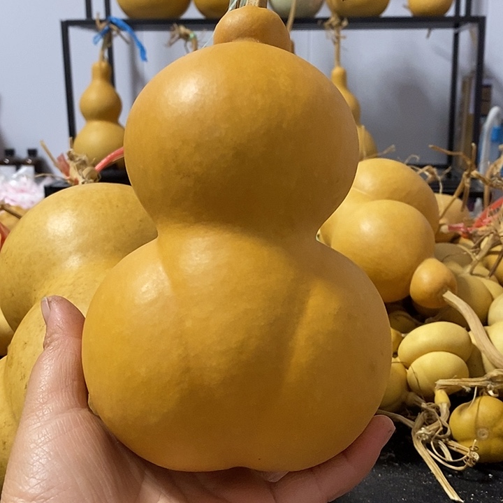 葫芦的颜色是蓝色还是蓝色