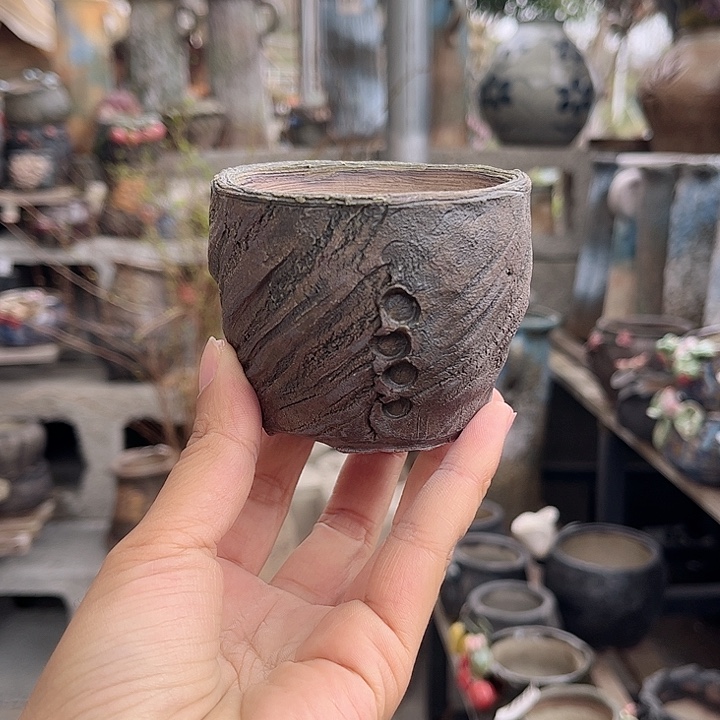 红陶哈哈我想说这句