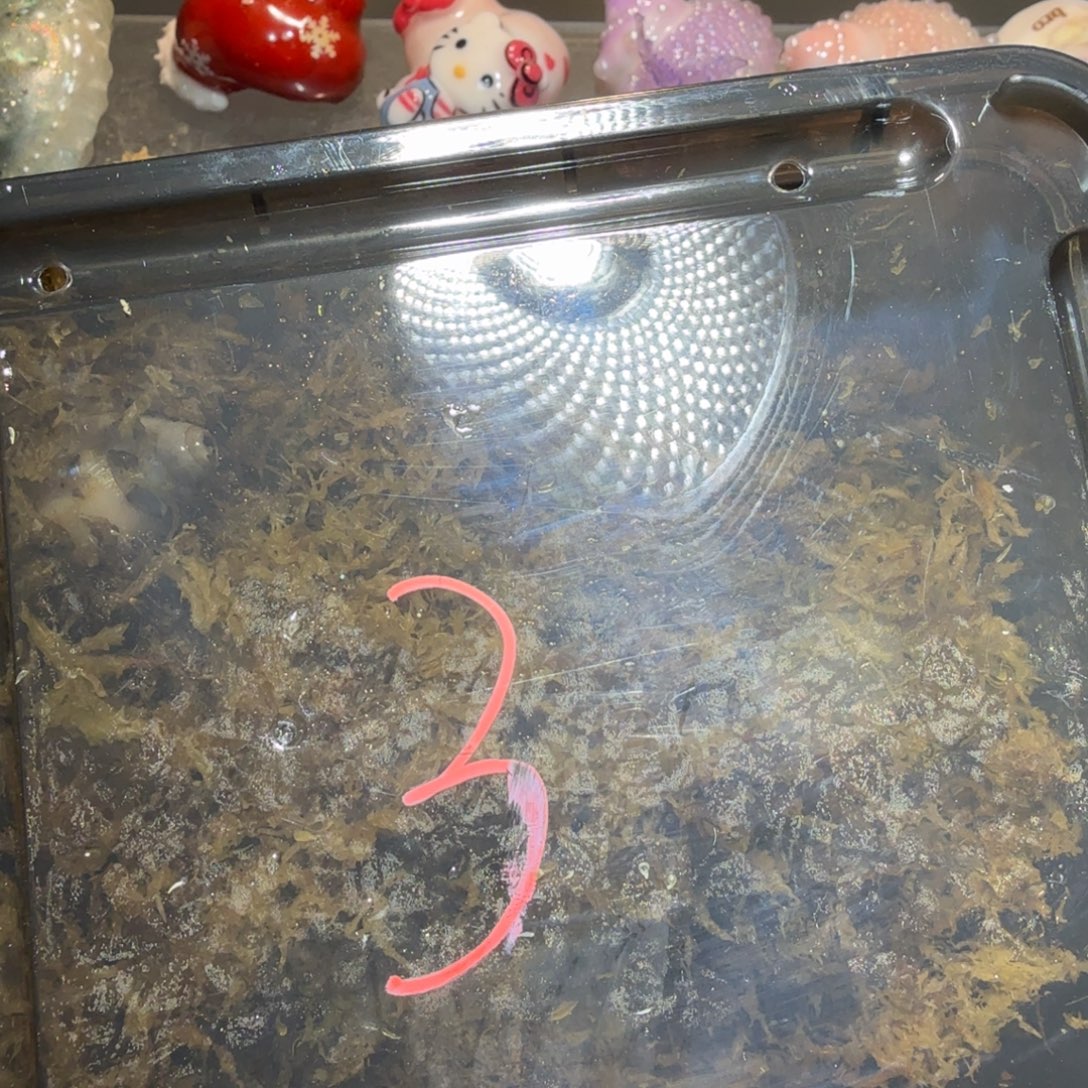 圣诞福袋3号 口径为2.8-4.0 介意勿拍